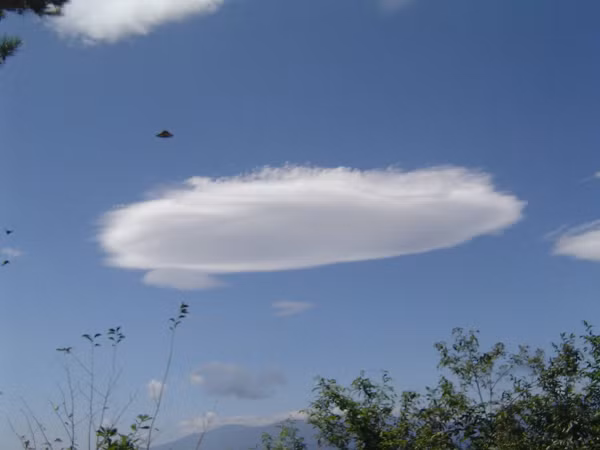 Không những thế, tất cả các tài liệu đã được phân tích bằng cách sử dụng phần mềm đặc biệt để đảm bảo chúng không phải là giả mạo.