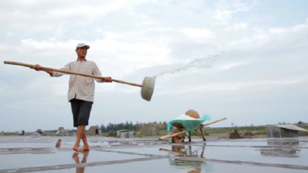 Muối nhạt còn có tác dụng đào thải, trung hòa các axit dư thừa từ các tế bào trong cơ thể, giải phỏng các chất cặn bẩn dính vào dịch nhầy của phổi. Muối nhạt giữ cho cấu trúc xương vững chắc nhờ hàm lượng magie, phốt pho, lưu huỳnh và canxi.