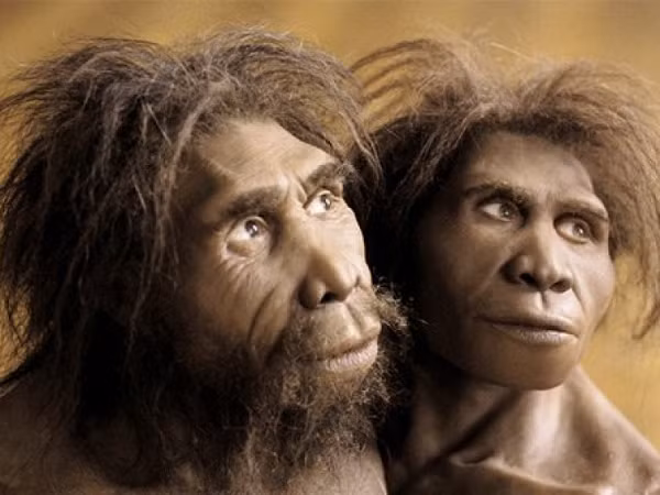 Sau 2 triệu năm trên địa cầu, nhóm Homo erectus cuối cùng đã chọn đảo Java (Indonesia) là nơi sinh sống cuối cùng, hoàn toàn biệt lập, để rồi tuyệt chủng trong một thảm họa thiên nhiên.