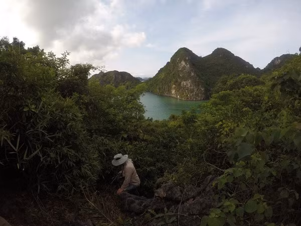 Ông Nguyễn Quảng Trường, Phó Viện trưởng Viện Sinh thái và Tài nguyên sinh vật thuộc Viện Khoa học và Công nghệ Việt Nam hy vọng, phát hiện này sẽ thúc đẩy mọi người quan tâm hơn đến việc bảo tồn ở Việt Nam và bảo vệ đa dạng sinh học trong các hệ sinh thái karst.