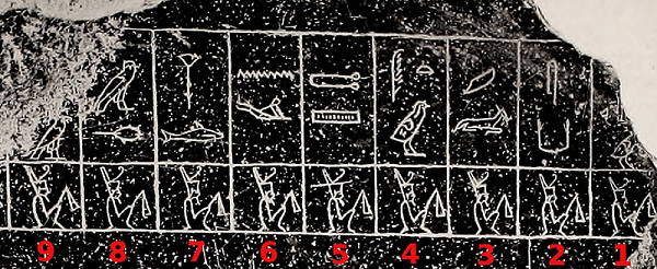 Ngoài những thông tin trên, Biên niên sử Hoàng gia cũng liệt kê những thông tin thú vị khác về thuế ở Ai Cập cổ đại, các nghi lễ tôn giáo, mực nước sông Nile và các chiến dịch quân sự cũng như các chi tiết quan trọng khác.