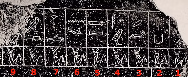 Ngoài những thông tin trên, Biên niên sử Hoàng gia cũng liệt kê những thông tin thú vị khác về thuế ở Ai Cập cổ đại, các nghi lễ tôn giáo, mực nước sông Nile và các chiến dịch quân sự cũng như các chi tiết quan trọng khác.