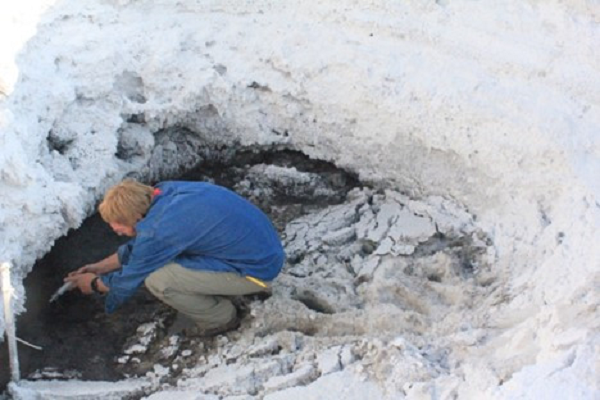 Họ đã phát hiện ra... hàng đàn vi sinh vật cực đoan, những dạng sự sống tồn tại mà không cần thở, vẫn khỏe mạnh dù bị ngâm nước muối đậm đặc và bị nhốt dưới "hầm mộ" băng giá lạnh lẽo.
