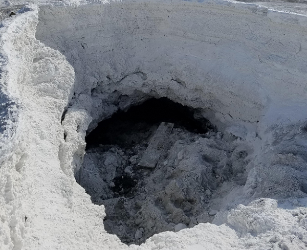 Vì vậy, để hiểu về các loại sinh vật có thể tồn tại trên Hành tinh Đỏ, nhóm các nhà nghiên cứu do Lyle Whyte dẫn đầu đã làm việc với các công cụ gen hiện đại cùng với các phương pháp vi sinh đơn bào.