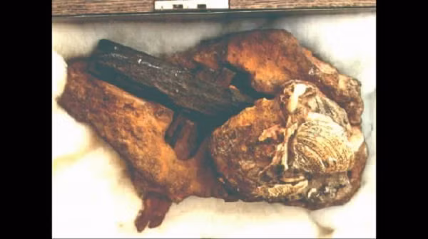 Năm 1936, một cặp vợ chồng trên đường đi du lịch đã tìm thấy một miếng đá gắn liền với một tay cầm được làm bằng gỗ mịn. Kết quả của carbon phóng xạ cho thấy cây búa này đã tồn tại trong khoảng 500 triệu năm nay. Phát hiện vô lí vì nó không những có trước khi con người xuất hiện mà còn không có một vết rỉ nào, thể hiện trình độ kỹ thuật cực kì cao siêu.