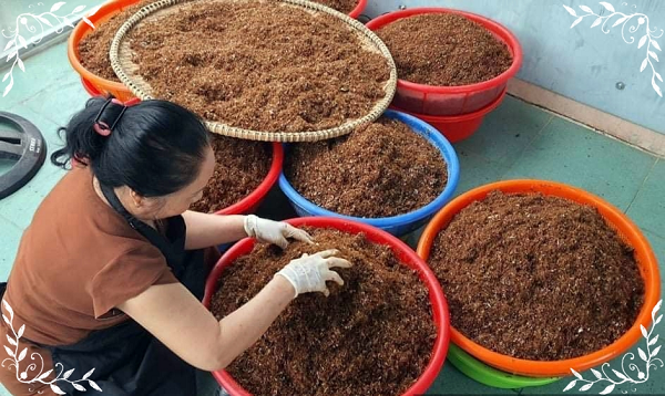 Quá trình làm loại muối này không khó nhưng cần sự tỉ mỉ từ khâu làm sạch kiến cho đến khi trộn nguyên liệu. Cách bắt kiến của người dân bản địa khá hay, đôi lúc hài hước.