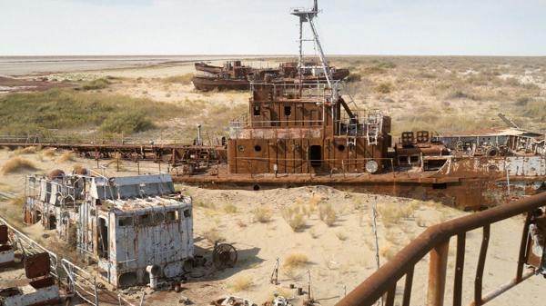 Khi tìm thấy dấu vết của bệnh than, Mỹ chi hàng triệu đô la cho hoạt động dọn dẹp. Hàng nghìn kg chất tẩy trắng dạng bột cực mạnh đã được các phi hành đoàn mặc đồ bảo hộ sử dụng trong nhiều tháng và cuối cùng bào tử đã biến mất.