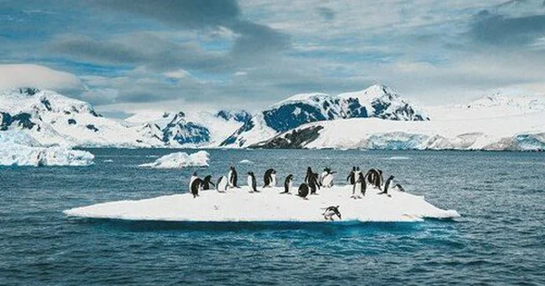 Khi đang nghiên cứu trầm tích thời tiền sử được tìm thấy trên các bờ biển xung quanh Doomsday, ở khu vực thềm băng Tây Nam Cực, các nhà khoa học đã phát hiện ra một thông tin vô cùng u ám.