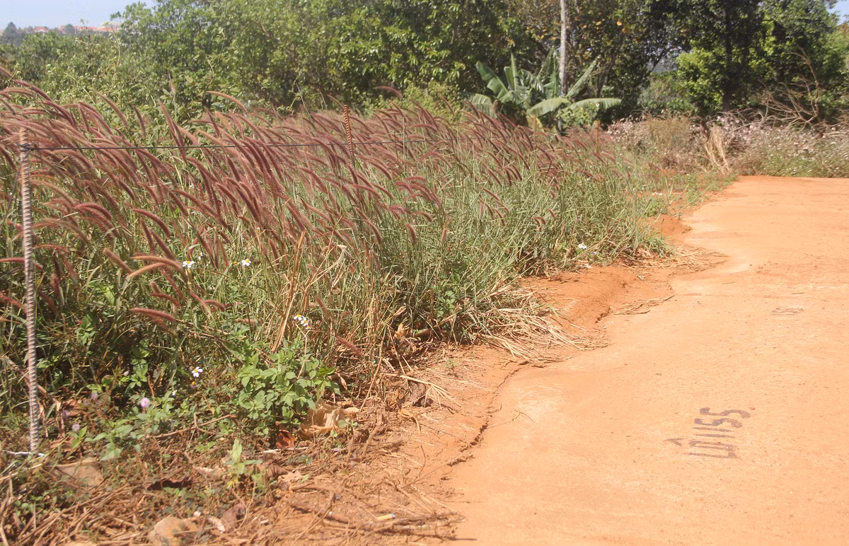 Dự án này triển khai từ tháng 6/2018 được hai hộ dân xin chuyển mục đích sử dụng đất và tách thành 34 thửa để sang nhượng. Hiện khu vực này các chủ sở hữu đã đóng cọc, ghi số lô để giữ đất. Hiện khu vực này, UBND thị xã Gia Nghĩa đã đề nghị Sở Tài Nguyên Môi Trường thu hồi các quyết định phân lô, cấm xây dựng.