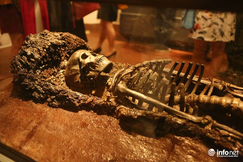 Trong số những mẫu vật khảo cổ tại Bảo tàng lần này, một di tích bộ xương được rất nhiều người tò mò tìm hiểu.