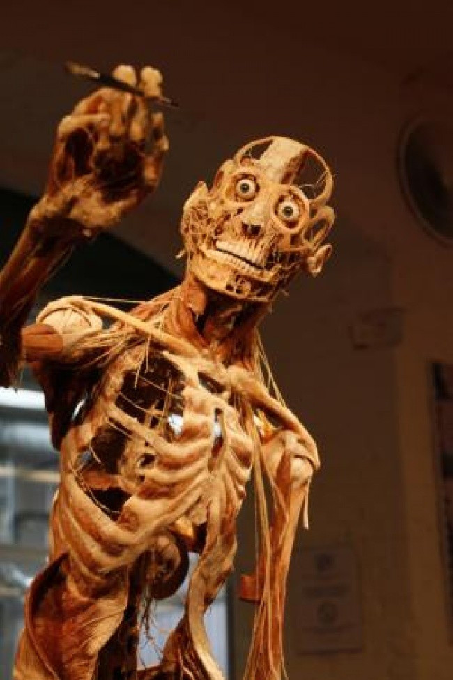 9. Bảo tàng giải phẫu học Plastinarium, Đức: Bảo tàng Plastinarium ở Đức, nơi lưu giữ tất cả các bộ phận trên cơ thể người và nhiều loài động vật. Hãy giữ vững tâm lý khi tham quan những buổi triển lãm liên quan đễn giải phẫu học đây.