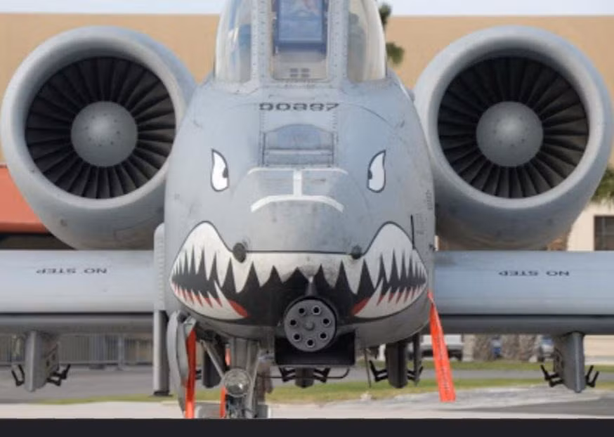 Tuy nhiên, phi đội này đã “thoát chết” nhờ sự ủng hộ của các cựu binh và một số đại diện Quốc hội. Nhưng kết cục này là không thể tránh khỏi, dù đến muộn những 30 năm kể từ khi quyết định ban đầu được đưa ra.