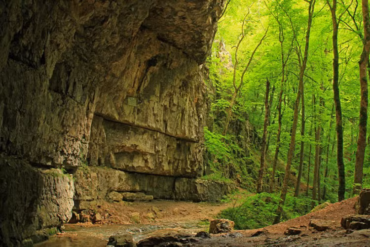 Hang Swabian Jura, Đức: Những người hiện đại đầu tiên tới châu Âu cách đây 43.000 năm vào cuối kỷ băng hà. Một trong những nơi cư trú của họ là hang Swabian Jura ở Đức.