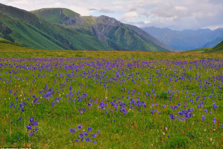 Thắng cảnh Dauria: Hệ sinh thái đa dạng này kéo dài từ phía đông Mông Cổ tới vùng Siberia ở Nga và phía đông bắc Trung Quốc.