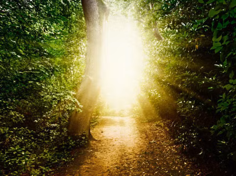 Tiet lo 3 trai nghiem can tu pho bien nhat the gioi