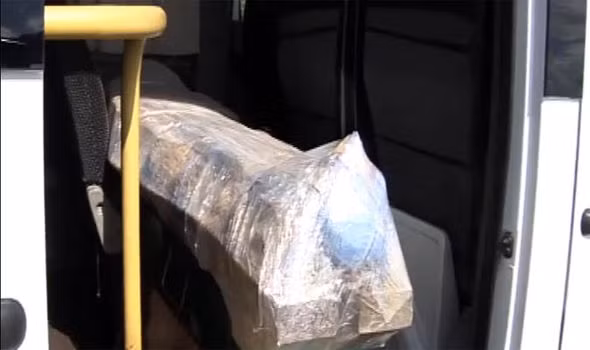 Nhà nghiên cứu Gusver cho hay xác ướp người trưởng thành được bao quanh bởi các tấm đồng.