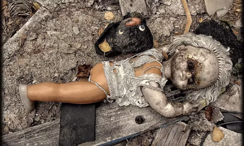 Vào ngày 26/4/1986, thảm họa hạt nhân tồi tệ nhất trong lịch sử thế giới đã xảy ra ở nhà máy điện Chernobyl. Sai lầm trong thiết kế và điều khiển tạo thành vụ nổ mạnh đến mức thổi bay cả phần nóc nặng nghìn tấn của lò phản ứng số 4, phát tán vô số chất phóng xạ vào môi trường sống.