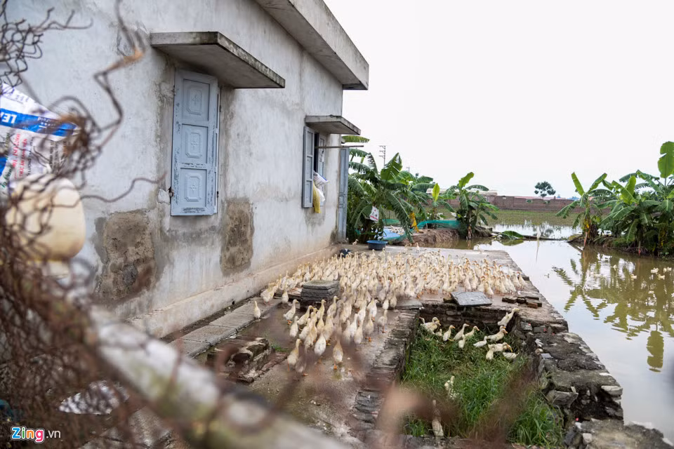 Trạm bơm bị bỏ hoang, nhiều gạch đá chất đầy lối đi, cỏ mọc um tùm, phía bên trong nhà trạm được tận dụng để nuôi gia cầm.