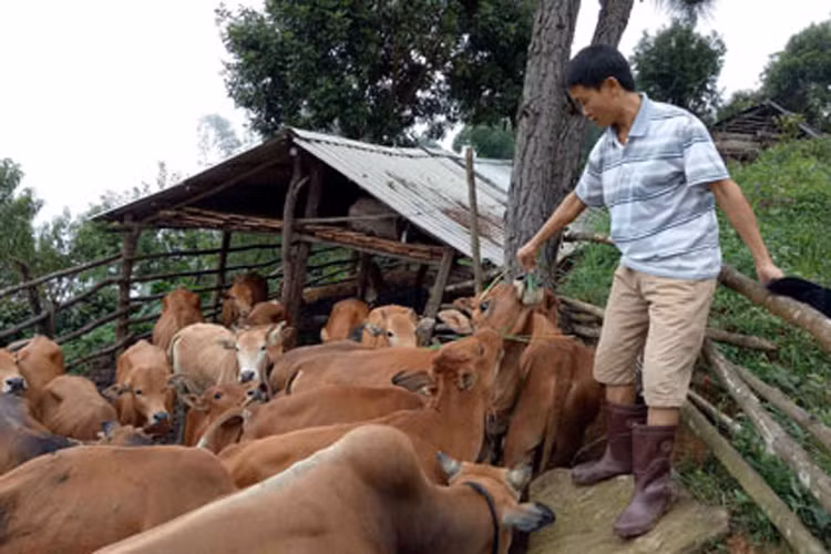 Nong san sach “nuc tieng” giup nha nong Son La song khoe-Hinh-2