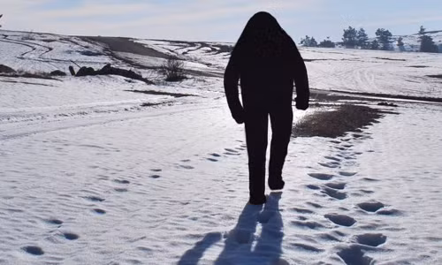 Người tuyết (Yeti) là một trong những bí ẩn khó giải ở đỉnh núi Everest. Những ghi chép sớm nhất về sinh vật to lớn bí ẩn này xuất hiện ở khu vực ngọn núi này từ những năm 1950.