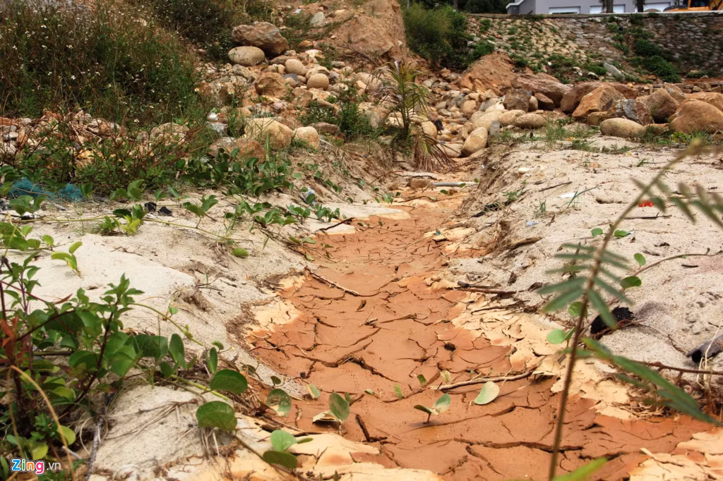 Bùn non chảy tràn theo dòng và cô đọng thành lớp, nứt nẻ sau khi nhiệt độ tăng cao.