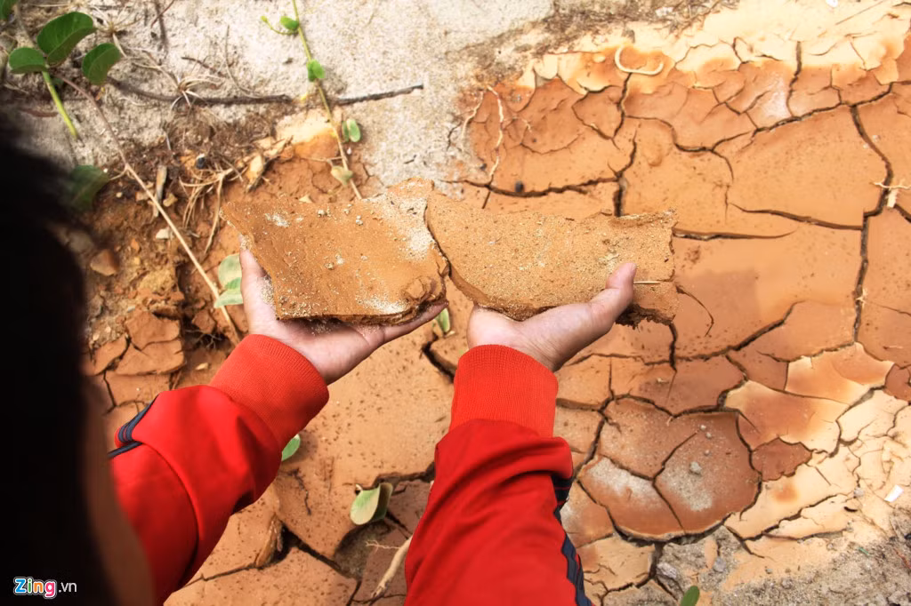 Bên dưới những khe, rãnh đã cạn nước là lớp bùn kết thành mảng và có thể cầm nắm được.