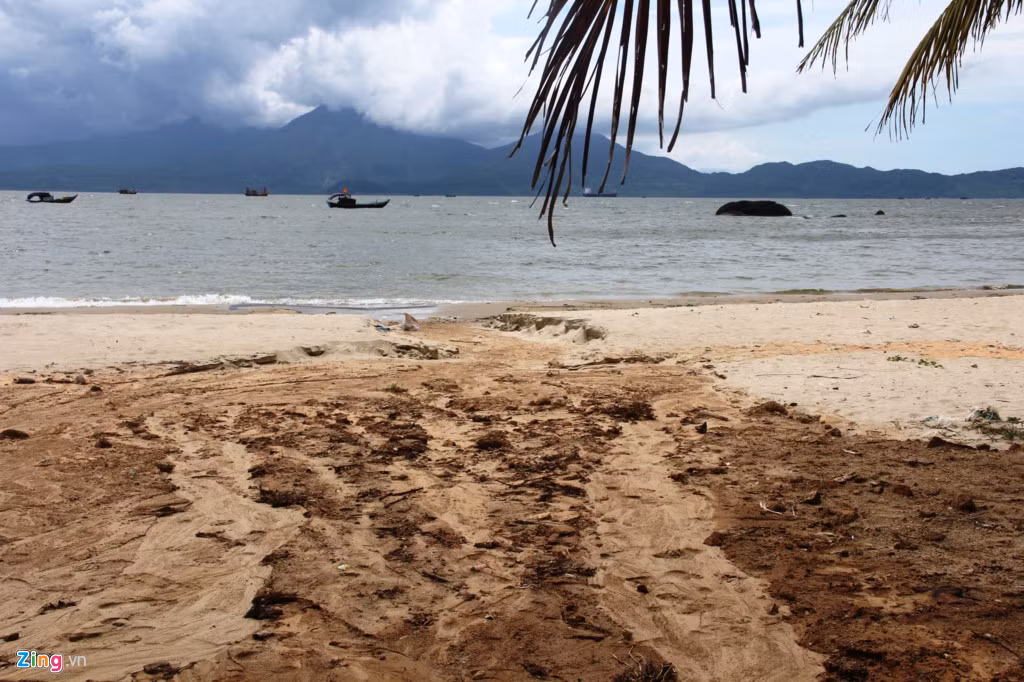 Theo ghi nhận của PV, tại đây có 3 bãi tràn bùn đất ngay dưới chân 40 móng biệt thự ở Sơn Trà (đã tạm dừng thi công). Trong đó, có 1 vị trí đã bị nước mưa xói mòn, chảy thành dòng khiến một lượng lớn bùn đất đỏ chảy tràn xuống biển.