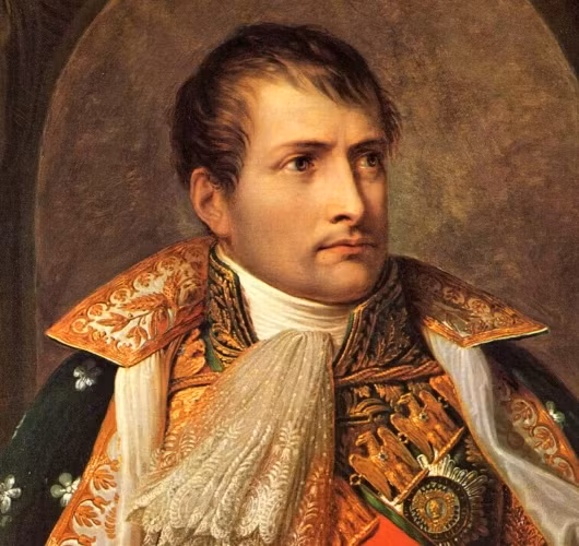 Hoàng đế Napoleon mắc phải căn bệnh trĩ. Một số người cho rằng, chính căn bệnh này đã ngăn cản hoàng đế Pháp giành chiến thắng ở trận Waterloo.