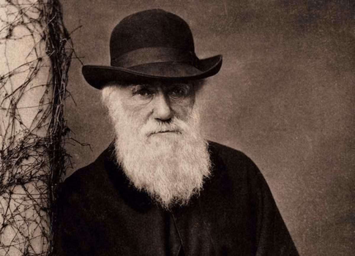 Một sự thật gây kinh ngạc là Charles Darwin ăn hầu hết động vật mà ông phát hiện ra.