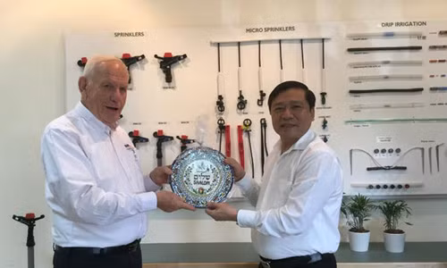 O quoc gia nay, cay du du to nhu cay chuoi, thu 8 ty/ha