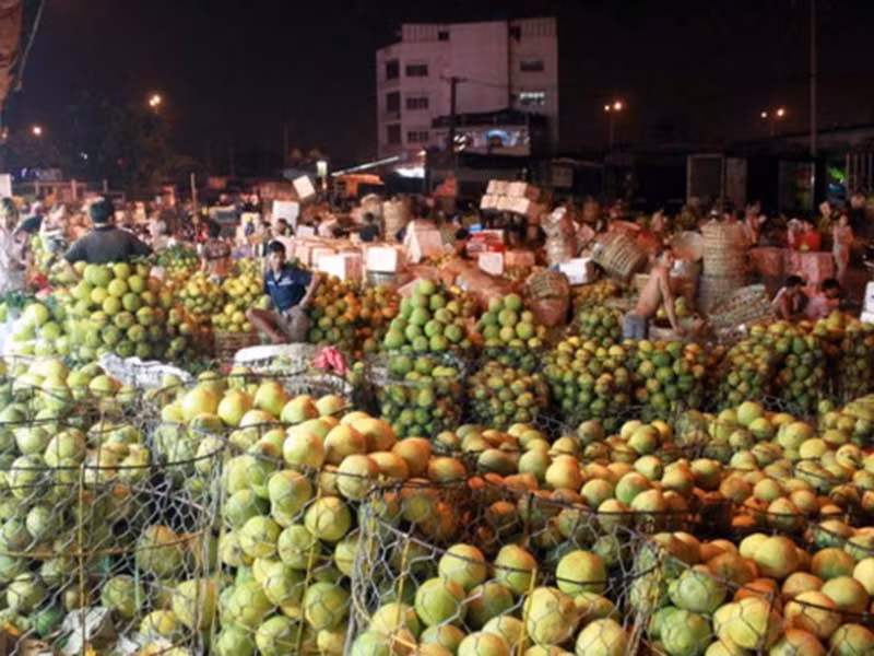 Nhung “cho am hon” o Sai Gon