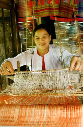 Năm 2001, chị Bin tham gia Hội LHPN xã Yên Nghiệp. Chị luôn trăn trở là phải tìm ra công ăn việc làm cho chị em hội viên. Cơ hội đến với chị khi năm 2006, từ nguồn vốn hỗ trợ đào tạo nghề cho phụ nữ của Hội LHPN huyện Lạc Sơn cho Hội LHPN xã Yên Nghiệp vay 50 triệu đồng, không phải trả lãi trong 1 năm.