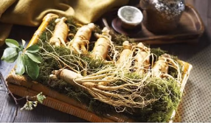 Nhân sâm: Trong y học cổ truyền Trung Quốc, nhân sâm được gọi là "gốc rễ của cuộc sống" bởi vì nó mang lại năng lượng trong các trường hợp mệt mỏi cả về thể chất lẫn tinh thần. Ưu điểm của loại cây này là giúp tăng cường khả năng đối phó với căng thẳng và mệt mỏi trong các tình huống khác nhau mà cơ thể của bạn gặp phải mỗi ngày.