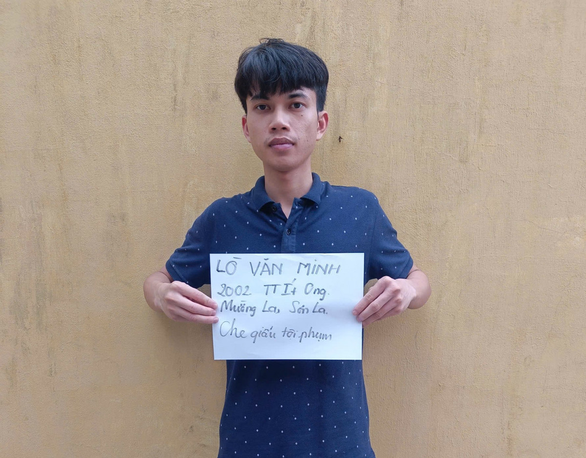 Lò Văn Minh (SN 2002, trú tại thị trấn Ít Ong, huyện Mường La, tỉnh Sơn La, nơi ở hiện nay, khu 9, phường Quảng Yên, thị xã Quảng Yên, tỉnh Quảng Ninh - em họ đối tượng Hà Thương Hải) bị khởi tố tội Che giấu tội phạm.