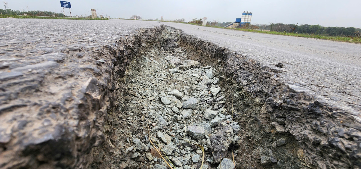 Hiện vết nứt, đứt gãy trên bề mặt đường đê Ngọc Tảo ngày càng lan rộng và nguy hiểm.