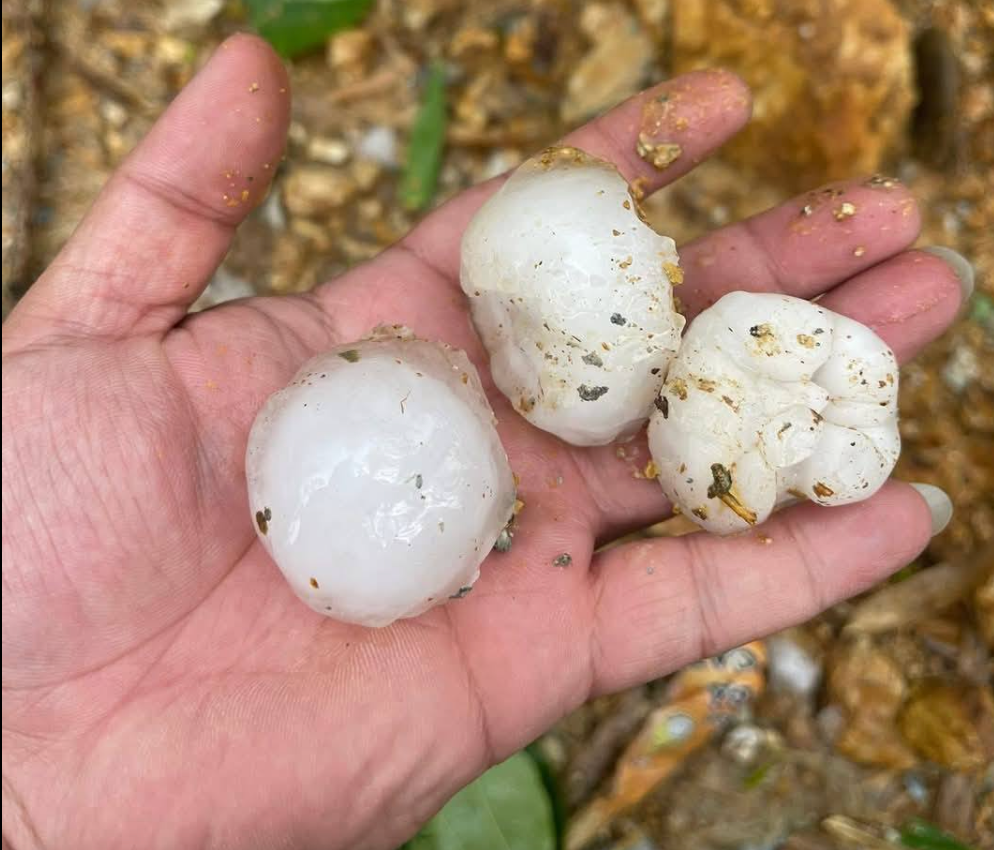 Mưa đá to bằng quả trứng gà rơi dày đặc ở Hà Giang Mua da to bang qua trung ga roi day dac o Ha Giang