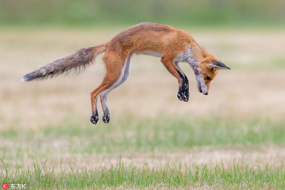 Hai huoc canh cao do 