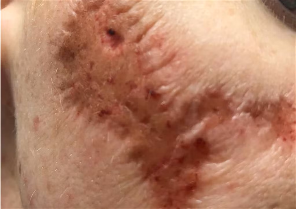 Nguoi phu nu bi “an thit” kinh hoang tu dieu khong ai ngo...-Hinh-2