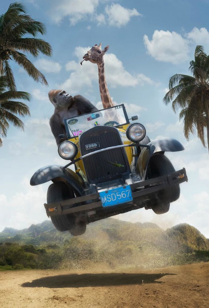 Theo Thomas Subtil, anh cảm thấy thế giới của động vật hoang dã rất bấp bênh, cuộc sống cũng mong manh và đầy rủi ro.