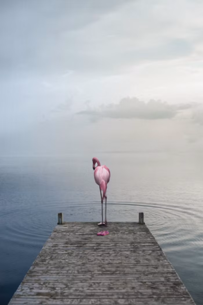 Trong lần khám phá, tiếp xúc trực tiếp với các loài động vật hoang dã ở Kenya, nhiếp ảnh gia Thomas Subtil đã nhìn thấy một thế giới hoàn toàn mới mẻ.