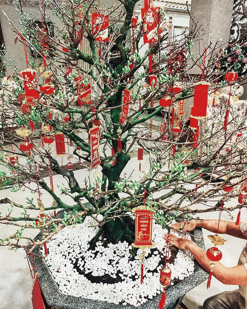 Hình ảnh không gian bên trong căn biệt thự cũng thu hút sự chú ý. Trước đó hoa khôi cùng ông xã đại gia sắm một cây mai lớn để đón mùa xuân mới.