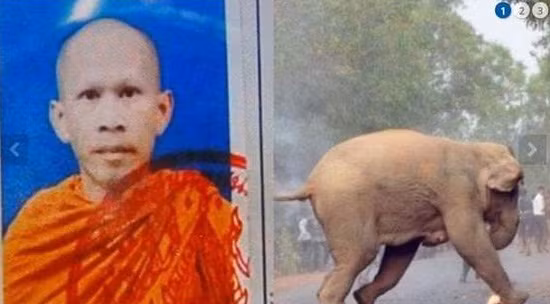 Dung leu trong lanh dia voi de thien, nha su gap hoa