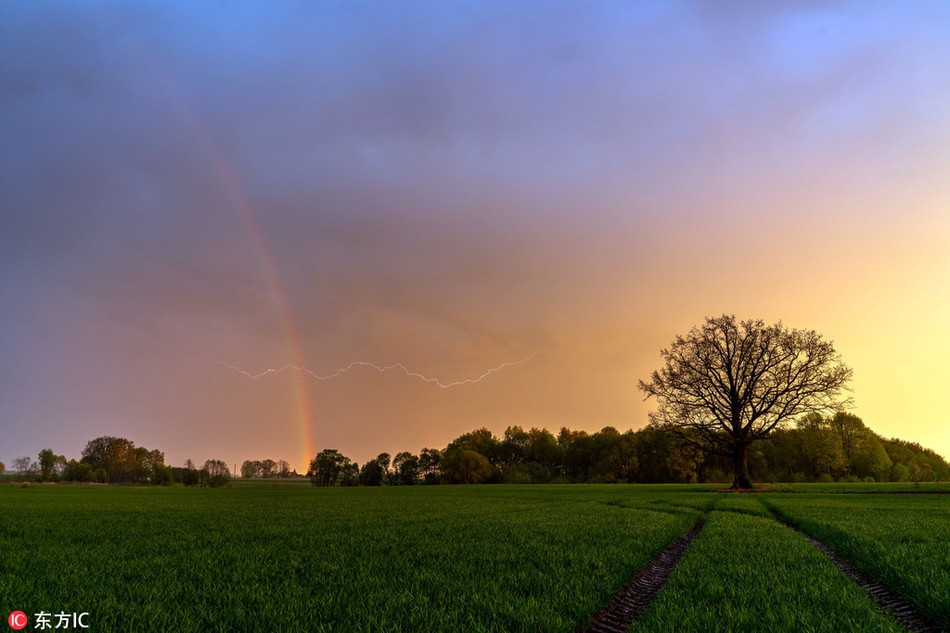 Canh tuong kho tin sam set danh trung vao cau vong-Hinh-4