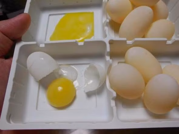 Thay rua cung de trung, chu nhan chien len va cai ket dang-Hinh-2