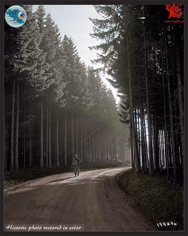 Người lính Mỹ đang tản bộ trên con đường rừng thơ mộng.