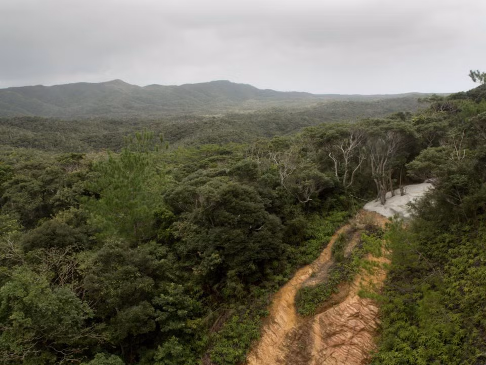 Có lẽ do trong lãnh thổ Mỹ hoàn toàn không có môi trường nhiệt đới nóng ẩm, trại huấn luyện này được Thủy quân Lục chiến Mỹ đặt ở Okinawa - Nhật Bản. Nguồn ảnh: BI.