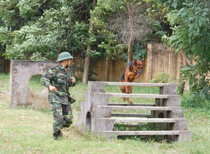 Vượt chướng ngại vật. Ảnh: Phan Anh.