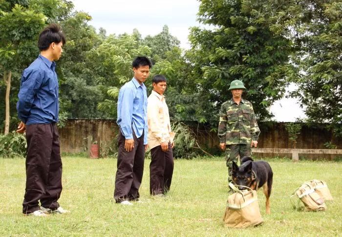 Chó nghiệp vụ hít mùi kiểm tra hành lý của các đối tượng. Ảnh: Phan Anh.