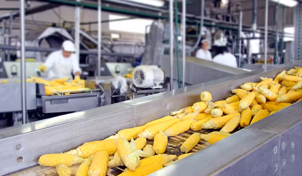 DN tự chịu trách nhiệm về an toàn sản phẩm do mình sản xuất, kinh doanh.