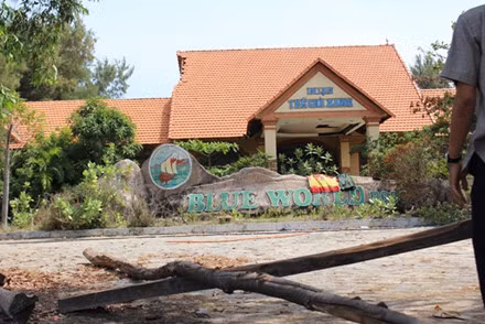 Khu resort Thế Giới Xanh (Blue World) ở mũi Kê Gà được đầu tư bài bản và đã đi vào sử dụng sau đó cũng bị thu hồi khi nơi này bị quy hoạch làm cảng Kê Gà. Resort này giờ trở nên tiêu điều, đổ nát. Ảnh: Lao Động. 